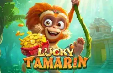 Lucky Tamarin