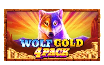 Wolf Gold 4 Pack